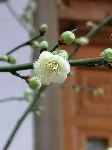 灵魂触发者(灵魂触发者矿区详细介绍)插图16