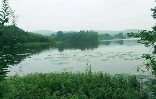 小桃园怎么样(南京的小桃园在哪儿)插图3
