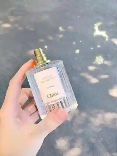 祈愿精灵搭配推荐阵容(口袋精灵最强阵容)