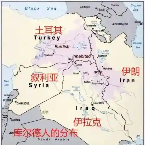 伊神搭配什么阵容(伊洛纳阵容推荐)插图5