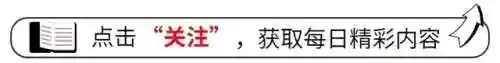 沙漠毒蛇怎么搭配阵容(沙漠绿洲推荐阵容平民)
