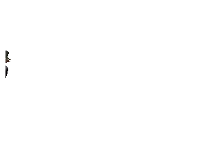 拳皇2000人物介绍(拳皇2000女性角色)插图23