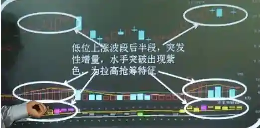 紫金战法搭配阵容图(三国志紫将最强阵容)