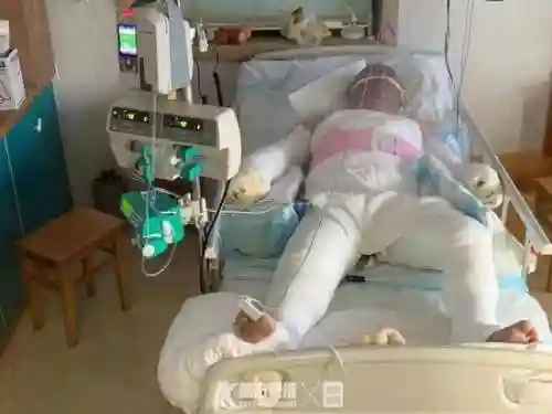 不知火海忍阵容搭配(不知火最佳御魂搭配)