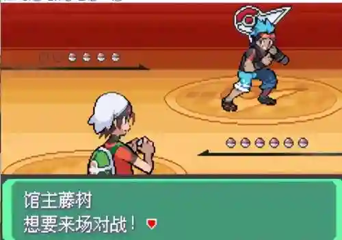 神奇宝贝究极绿宝石(究极绿宝石5.5下载安装手机版)插图20