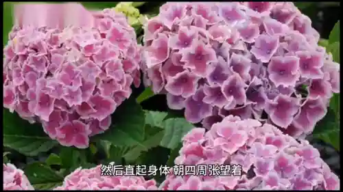 哈利波特4(哈利波特4:火焰杯免费观看英文版)插图3 哈利波特4(哈利波特4:火焰杯免费观看英文版)插图3
