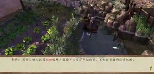 杜康村篇支线任务攻略(杜康村酸梅在哪)插图17