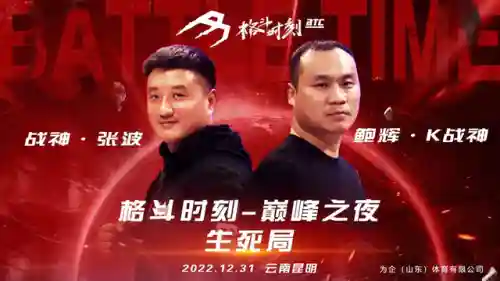 巅峰之夜阵容搭配攻略(巅峰竞技场阵容搭配)插图5