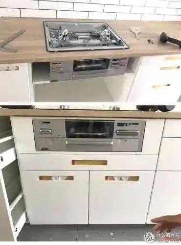 洛克号储物仓的宠物怎么捕捉(洛克号储物仓百科)插图37
