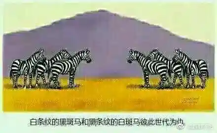 卡布西游白骨山探秘消方块(白骨山探秘阵法视频)插图16
