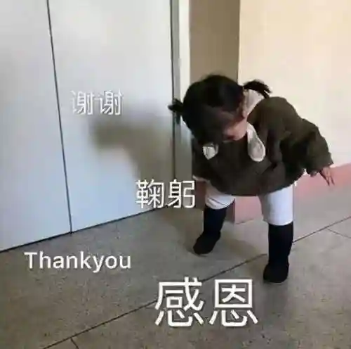 神武珍兽如意怎么打书(神武4神兽珍兽平民选择)插图18