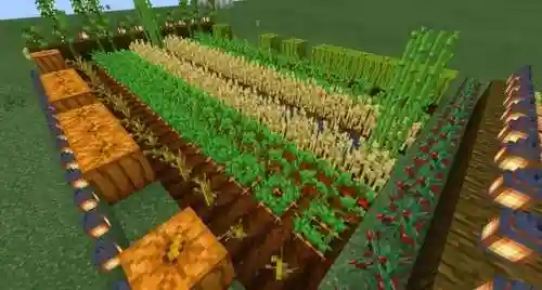 疯狂农场1中文版安卓(farmfrenzy2安卓版下载)插图2