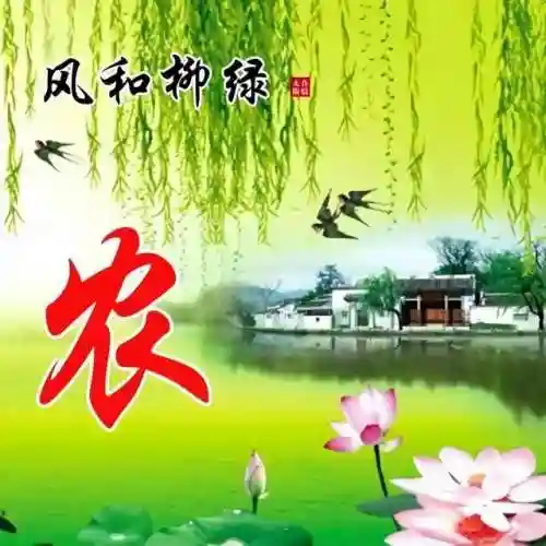 头像图片400张(2024最好运头像)插图23
