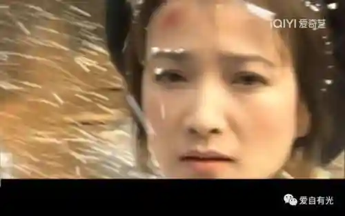从射雕开始霸美(射雕重生之我是穆念慈)插图3
