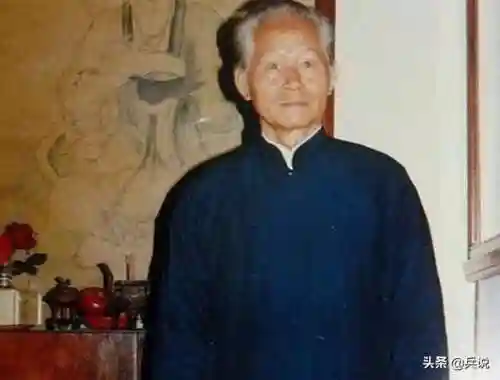 丛林之狐东方隆美尔(丛林之狐是谁)插图8
