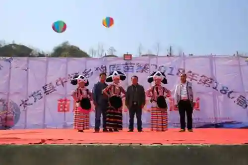 土豆小偷怎么搭配阵容(消除豌豆大作战阵容搭配)插图3
