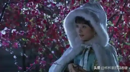 宫廷斗篷搭配阵容图片女士(古装披风斗篷女)插图5