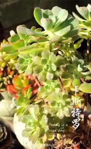法师最牛最霸气名字(一眼就看出是玩法师的ID)插图72