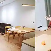 洛克号储物仓的宠物怎么捕捉(洛克号储物仓百科)插图63