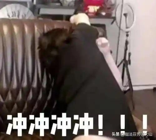 关羽荣耀典藏搭配阵容(关羽张飞t0阵容)插图10