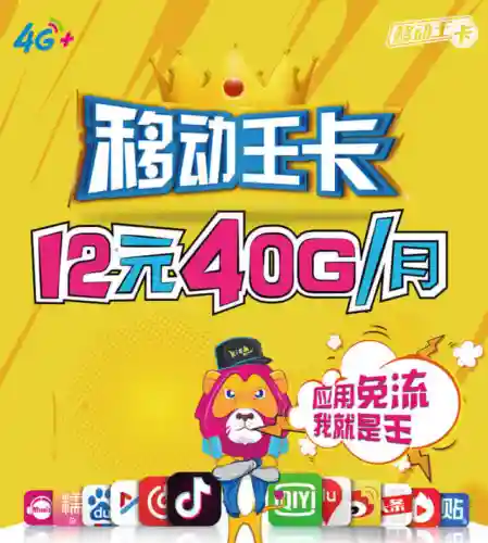 移动大王卡(移动王卡19元套餐介绍)插图1