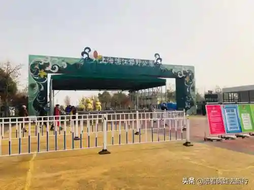 洛克王国紫藤快速获得(洛克王国紫藤150怎么弄)