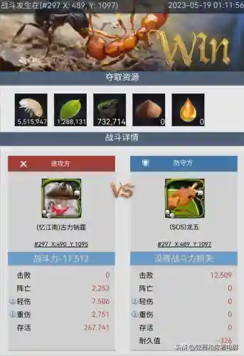 子弹猛蚁阵容搭配(蚁族崛起最强阵容推荐)插图3