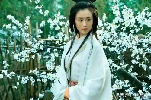 大乔小乔后来跟谁了(大乔改嫁给了谁)插图4