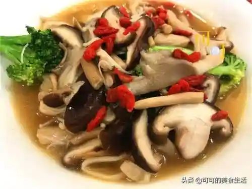 旱鱼搭配什么阵容(黄月英阵容搭配)插图7