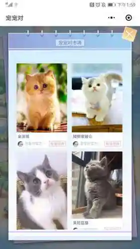 宠物小精灵游戏有哪些(口袋精灵游戏大全)插图10