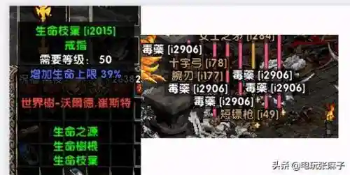 暗黑2单机版零基础开荒最快(暗黑2单机不用考虑破免)插图12