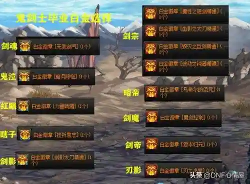 dnf剑魂徽章(剑魂左右槽白金徽章)插图2