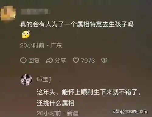 愤怒的小鸟龙年春节版(愤怒的小鸟最新手游下载)插图6