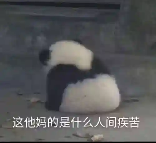 怪猎物语阵容搭配(怪物猎人物语一周目怪物推荐)插图14
