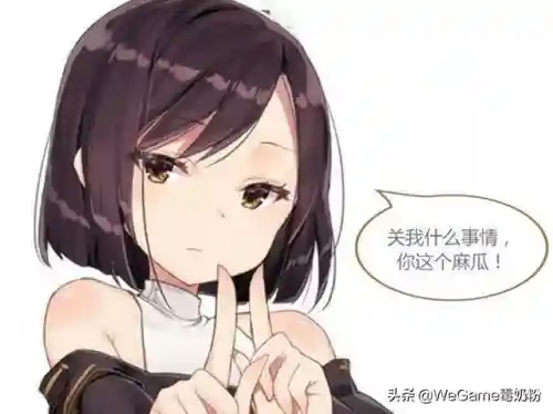 拍卖行能买到的宠物宝珠(2024可交易的宠物宝珠叫什么)插图6