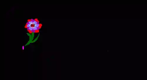 情人节图片(七夕照片配图)插图14
