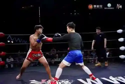 拳击表演阵容搭配图文解析(拳击俱乐部2最强技能搭配)插图4