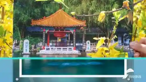 蓝线挑战最强阵容搭配图片(蓝卡队最常见的队伍搭配)