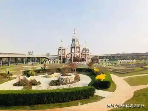 洛克王国紫藤快速获得(洛克王国紫藤150怎么弄)插图43