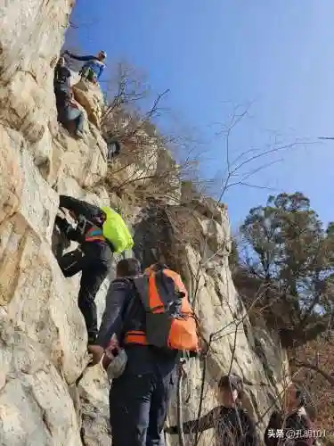 仙境游记推荐阵容搭配(歧路旅人2阵容搭配)插图7