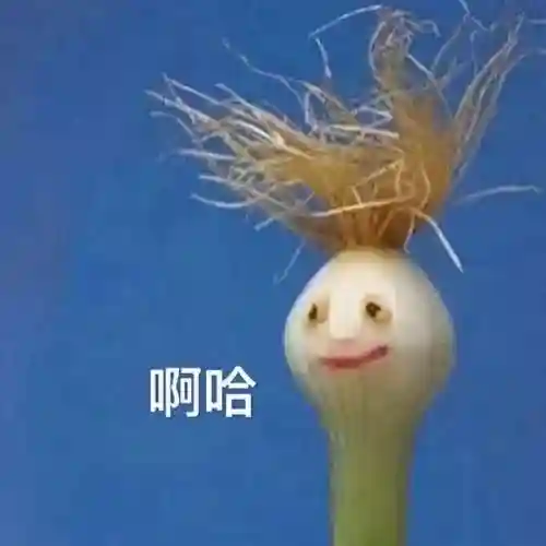 魔境仙踪为什么玩不了了(神庙逃亡之魔境仙踪)插图14