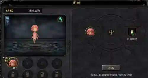 奇迹2阵容搭配攻略(奇迹mu三开职业搭配)插图1