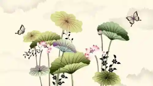 天残拾芳录(万世芬芳录)插图1