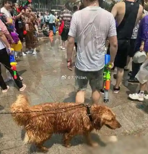祖传水枪阵容怎么搭配最好(豪侠枪手配什么阵容装备)插图33