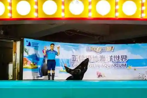 炫舞极地搭配阵容(炫舞时尚先锋sss搭配)插图42