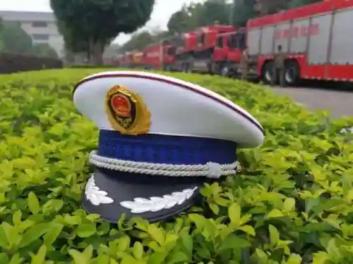 火焰家族阵容推荐搭配攻略(火毒队阵容搭配)插图2 火焰家族阵容推荐搭配攻略(火毒队阵容搭配)插图2