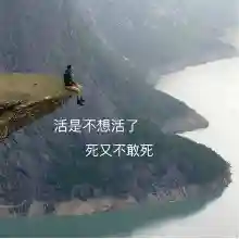 盛大通行证账号忘记了(盛大通行证官网)插图15