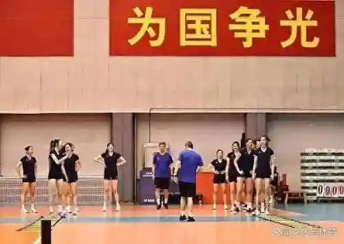 未来女排阵容搭配图(中国女排最强阵容名单)