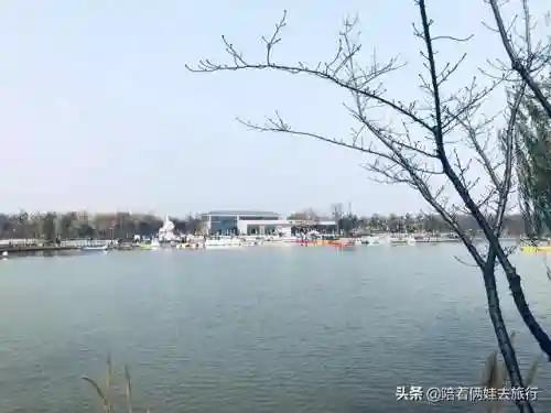 洛克王国紫藤快速获得(洛克王国紫藤150怎么弄)插图6