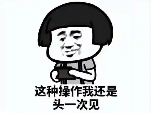 摩尔庄园黑森林通行证(摩尔庄园穿记者服也没有相机)插图5